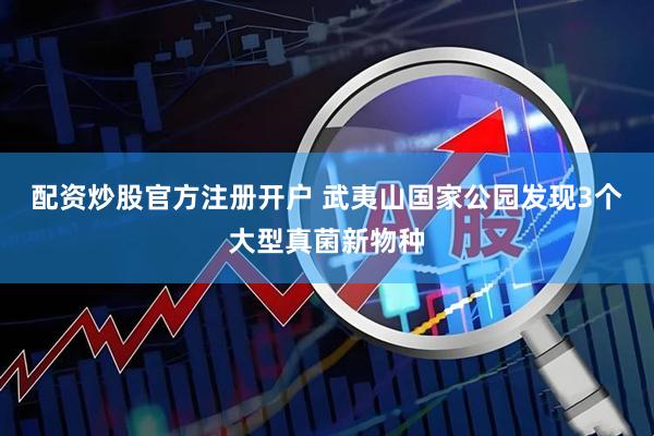 配资炒股官方注册开户 武夷山国家公园发现3个大型真菌新物种