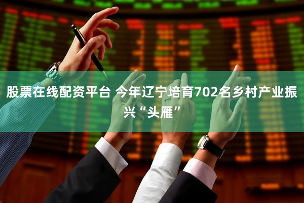 股票在线配资平台 今年辽宁培育702名乡村产业振兴“头雁”