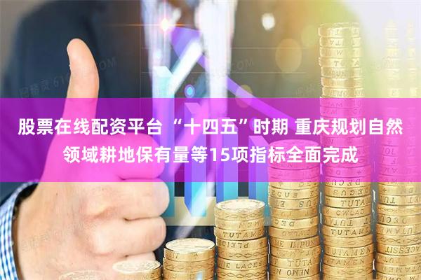 股票在线配资平台 “十四五”时期 重庆规划自然领域耕地保有量等15项指标全面完成