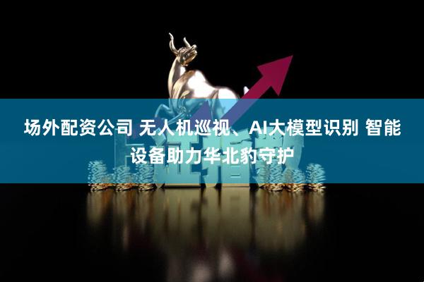 场外配资公司 无人机巡视、AI大模型识别 智能设备助力华北豹守护