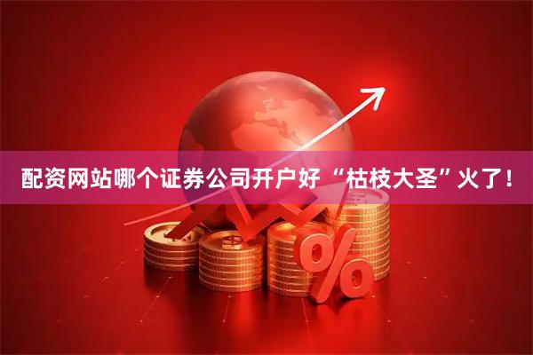 配资网站哪个证券公司开户好 “枯枝大圣”火了！